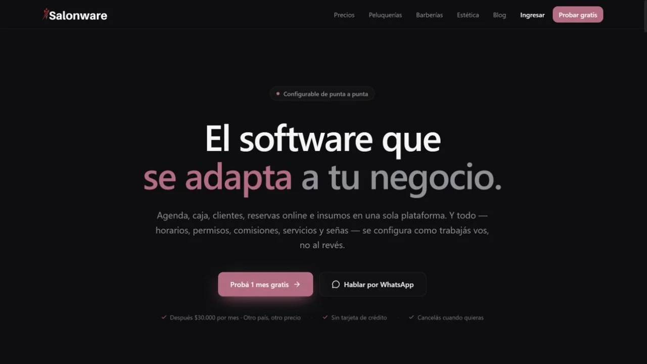 Captura del sitio de SalonWare